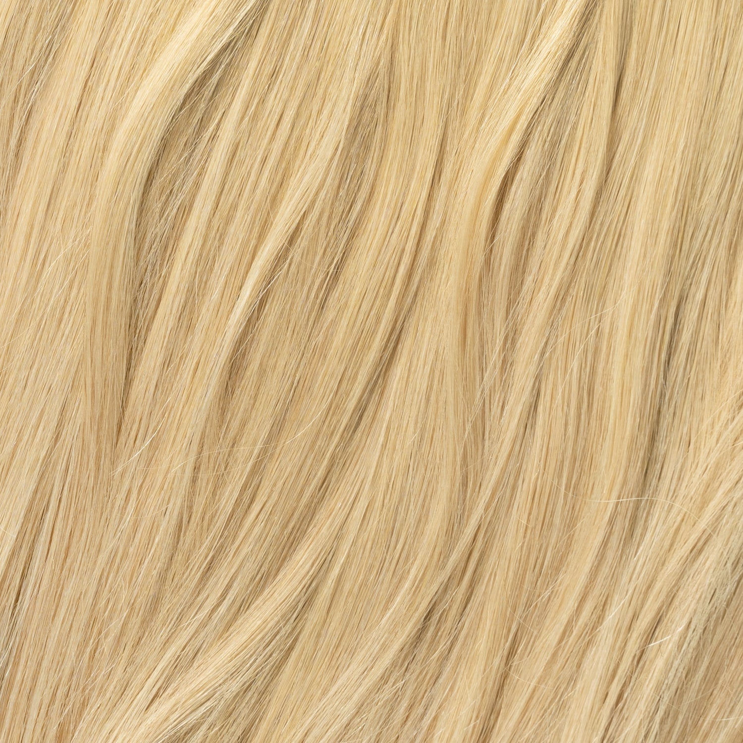 Clip on - Honey Blonde 15A