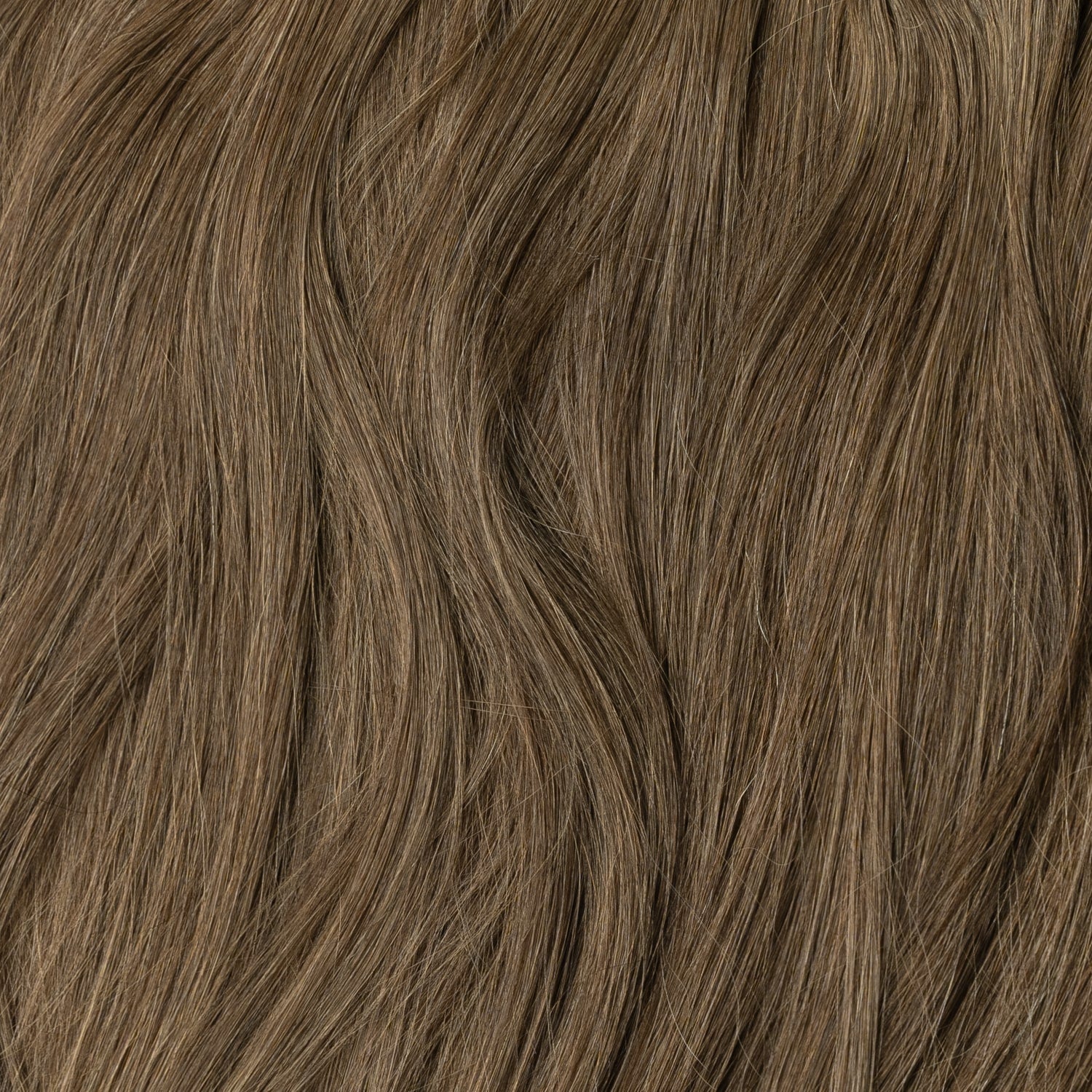 Halo extensions - Ash Brown 3B