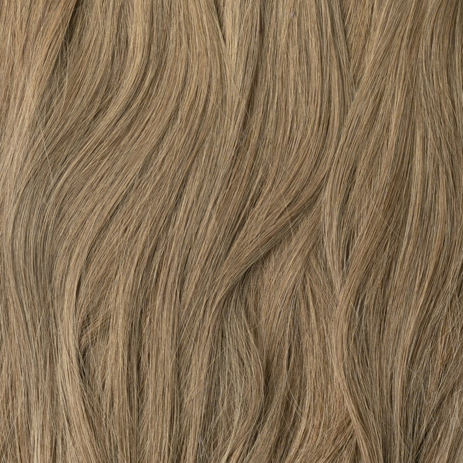 Color sample - Light Ash Brown 5B