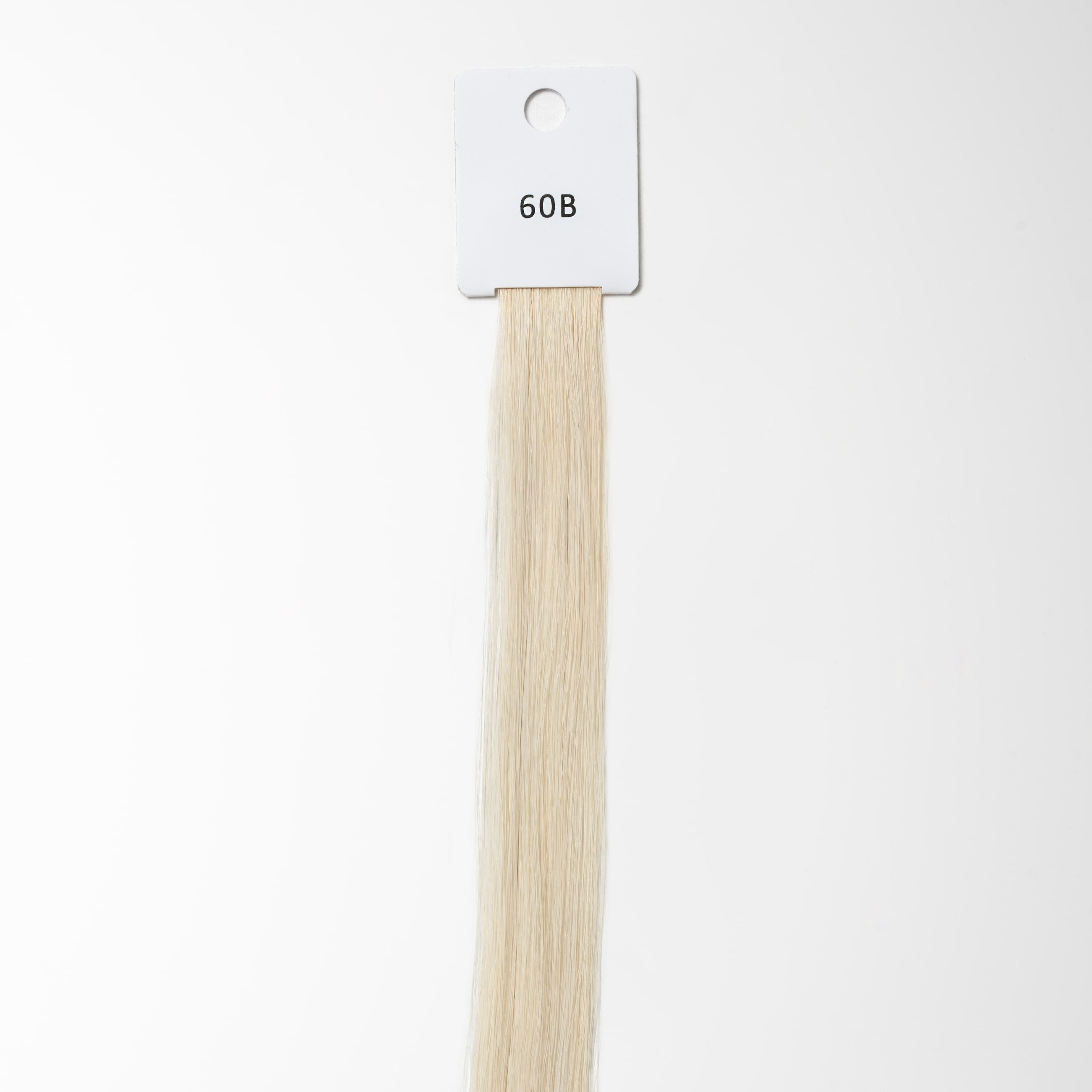 Color sample - Light Ash Blonde 60B